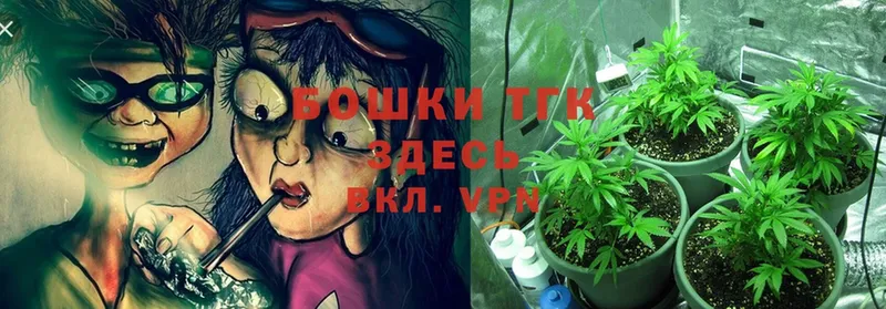 Каннабис OG Kush  даркнет сайт  Карачев 